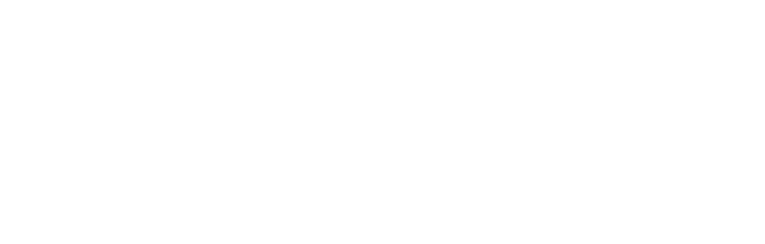 NIC HD